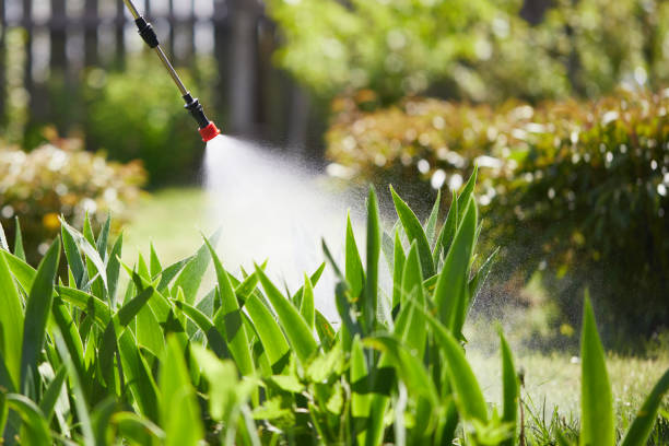 24/7 Emergency Mosquito Control experts in Valley Stream, NY